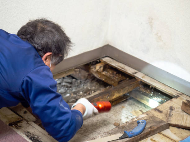 Best Mold Testing  in Church Hill, PA