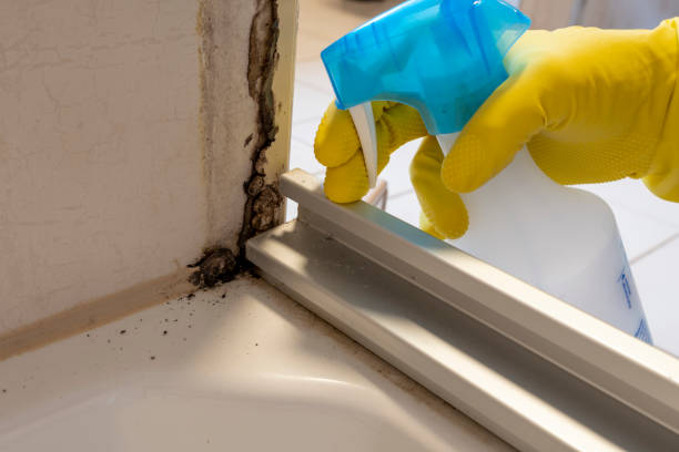 Best Mold Cleaning Services  in Church Hill, PA