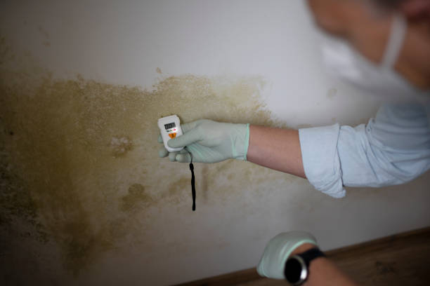Water Damage Restoration in Church Hill, PA